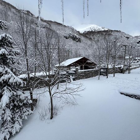 Vila Biocinovici Vikendica Kolašin Exteriér fotografie