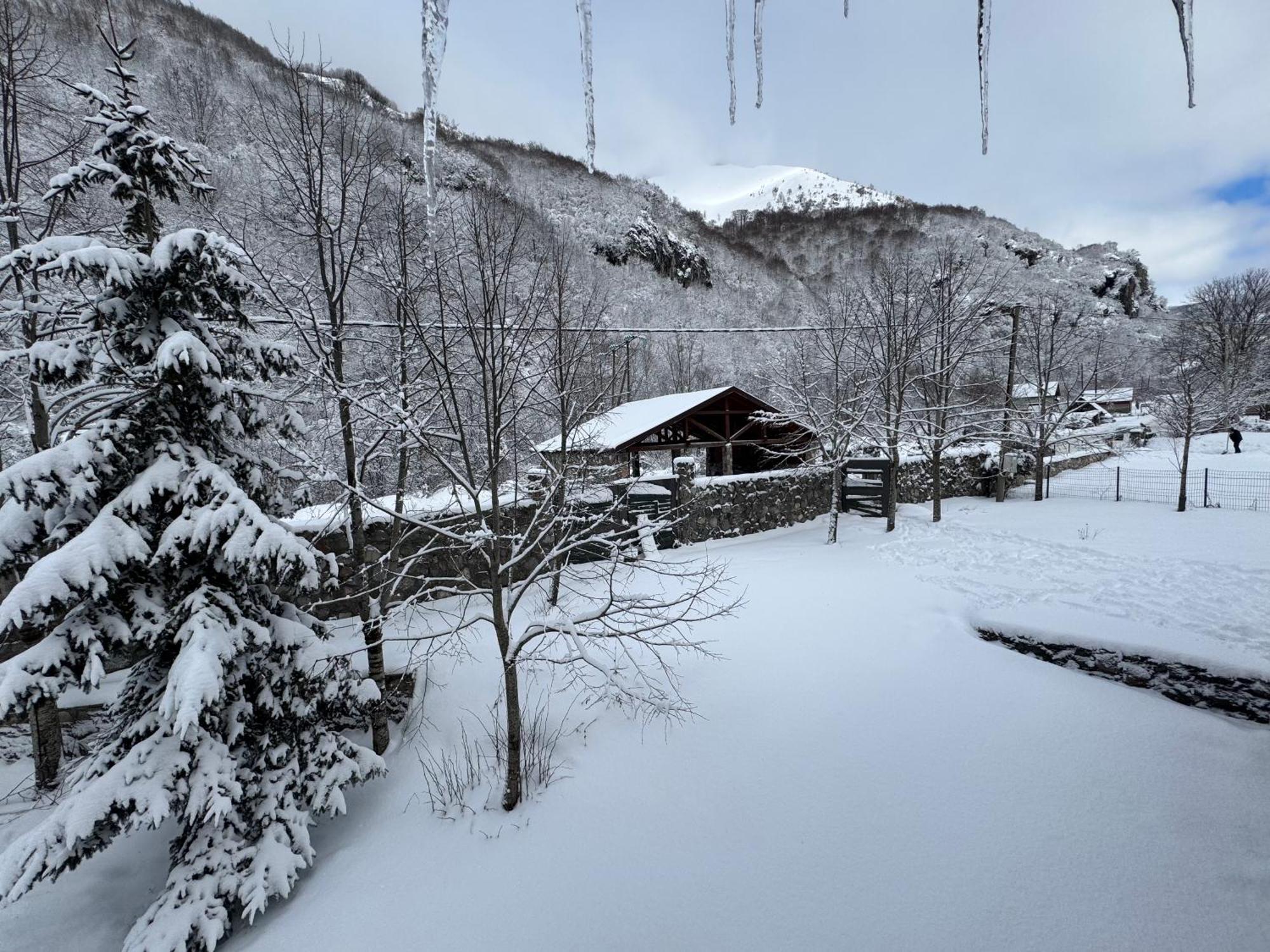 Vila Biocinovici Vikendica Kolašin Exteriér fotografie